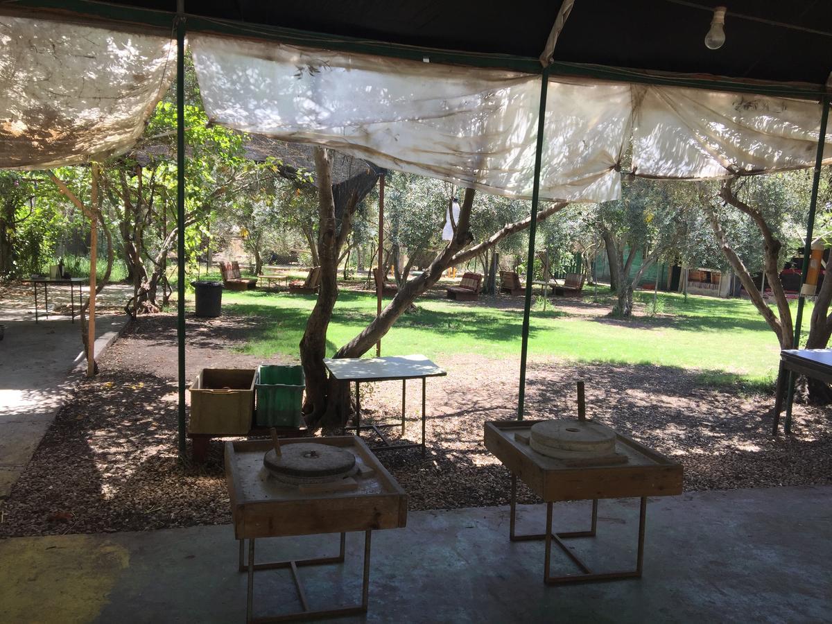 Peace Tent Villa Kfar Rut Exteriör bild